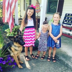 Dog Obedience Training Lima Ohio Dog Obedience Training Lima Ohio